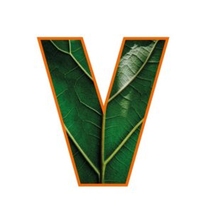 csm_Nachhaltigkeit_V_8248b4c553 Los siete pilares de la sostenibilidad de Vollmer